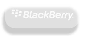 Blackberry Company引用了财富业务欧宝平台网站洞察力